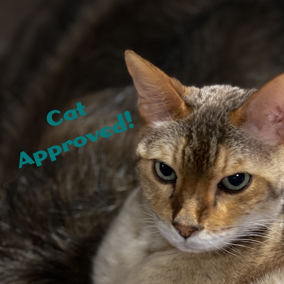 Lafayette 148 Leopard Coat 6 - Picture 13 of 13